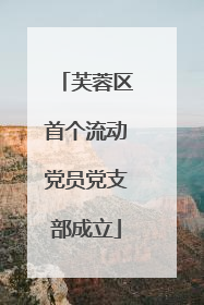 芙蓉区首个流动党员党支部成立