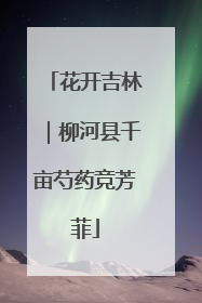 花开吉林｜柳河县千亩芍药竞芳菲