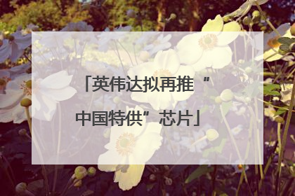 英伟达拟再推“中国特供”芯片