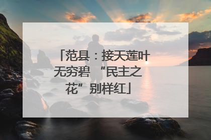 范县：接天莲叶无穷碧 “民主之花”别样红