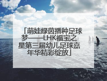 萌娃绿茵播种足球梦——LHK福宝之星第三届幼儿足球嘉年华精彩绽放