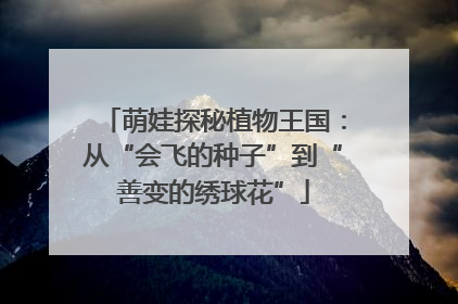 萌娃探秘植物王国：从“会飞的种子”到“善变的绣球花”