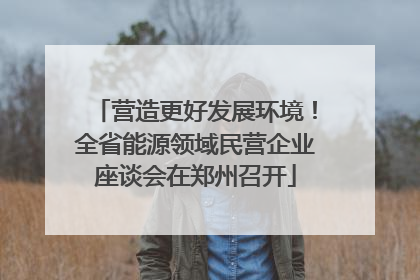 营造更好发展环境！全省能源领域民营企业座谈会在郑州召开