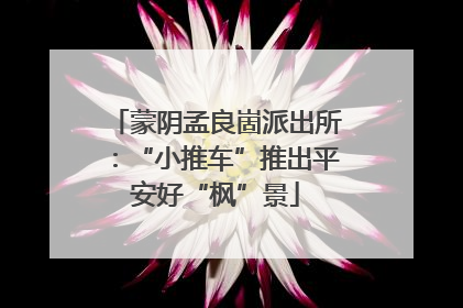蒙阴孟良崮派出所：“小推车”推出平安好“枫”景