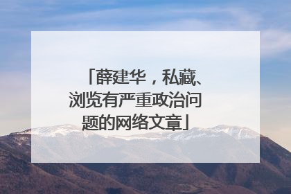 薛建华，私藏、浏览有严重政治问题的网络文章