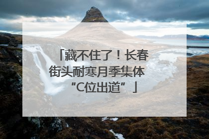 藏不住了！长春街头耐寒月季集体“C位出道”