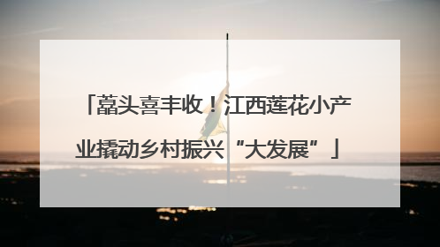 藠头喜丰收！江西莲花小产业撬动乡村振兴“大发展”