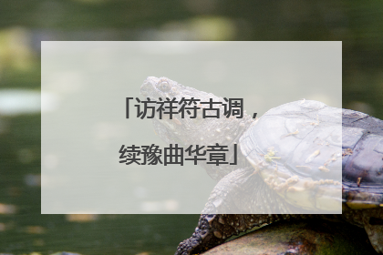 访祥符古调，续豫曲华章