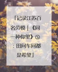 记录江苏百名劳模｜《同一种仰望》⑤：田间车间都是希望