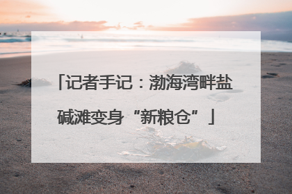 记者手记：渤海湾畔盐碱滩变身“新粮仓”