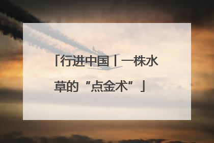 行进中国丨一株水草的“点金术”