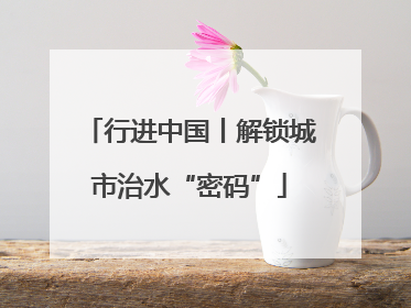 行进中国丨解锁城市治水“密码”