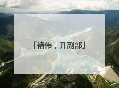 褚伟，升副部