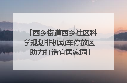 西乡街道西乡社区科学规划非机动车停放区 助力打造宜居家园