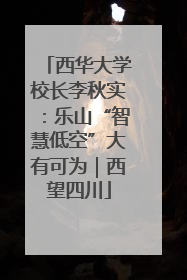 西华大学校长李秋实：乐山“智慧低空”大有可为｜西望四川