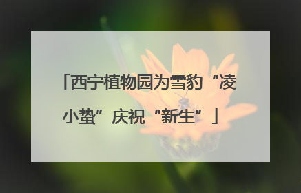 西宁植物园为雪豹“凌小蛰”庆祝“新生”