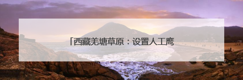 西藏羌塘草原：设置人工鹰架 让更多猛禽翱翔天空