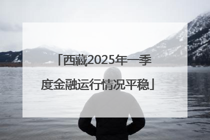 西藏2025年一季度金融运行情况平稳