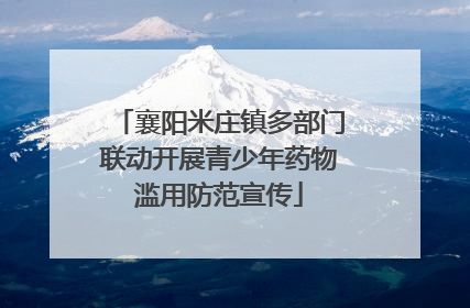 襄阳米庄镇多部门联动开展青少年药物滥用防范宣传