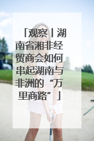 观察丨湖南省湘非经贸商会如何串起湖南与非洲的“万里商路”
