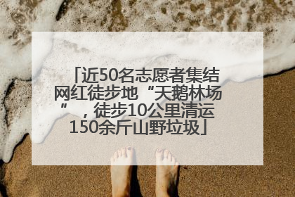 近50名志愿者集结网红徒步地“天鹅林场”，徒步10公里清运150余斤山野垃圾