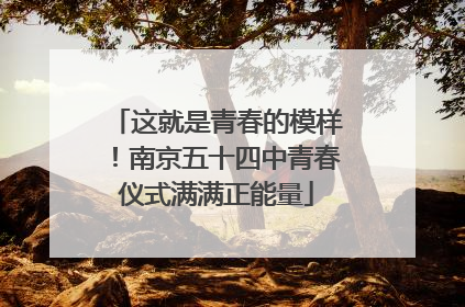 这就是青春的模样！南京五十四中青春仪式满满正能量