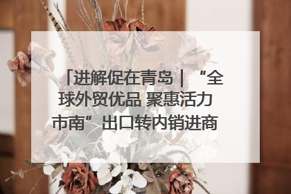 进解促在青岛｜“全球外贸优品 聚惠活力市南”出口转内销进商超专场活动启动
