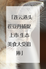 连云港头茬豆丹捕捉上市 生态美食大受追捧