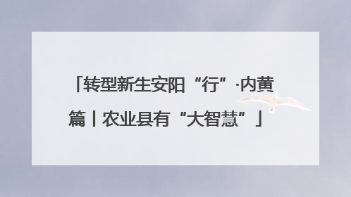 转型新生安阳“行”·内黄篇丨农业县有“大智慧”