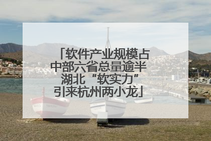 软件产业规模占中部六省总量逾半 湖北“软实力”引来杭州两小龙
