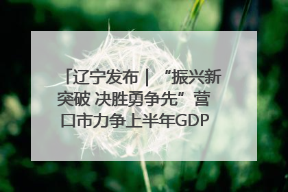 辽宁发布｜“振兴新突破 决胜勇争先”营口市力争上半年GDP增长6%左右