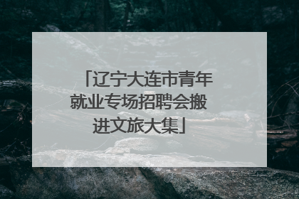 辽宁大连市青年就业专场招聘会搬进文旅大集