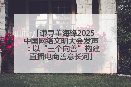 谦寻董海锋2025中国网络文明大会发声：以“三个向善”构建直播电商善意长河
