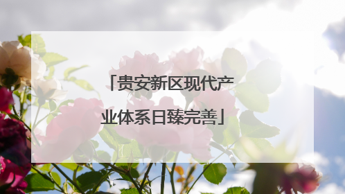 贵安新区现代产业体系日臻完善