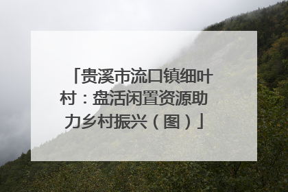 贵溪市流口镇细叶村：盘活闲置资源助力乡村振兴（图）