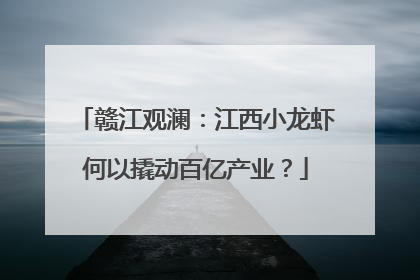 赣江观澜：江西小龙虾何以撬动百亿产业？