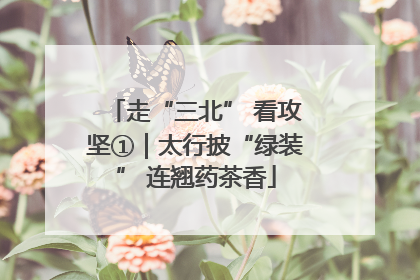 走“三北” 看攻坚①｜太行披“绿装” 连翘药茶香