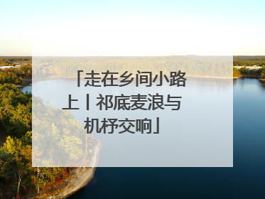 走在乡间小路上丨祁底麦浪与机杼交响