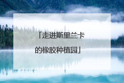 走进斯里兰卡的橡胶种植园