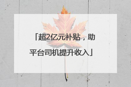 超2亿元补贴，助平台司机提升收入