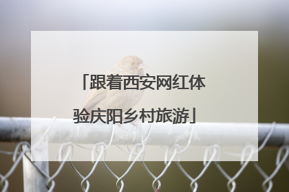 跟着西安网红体验庆阳乡村旅游