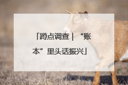 蹲点调查｜“账本”里头话振兴