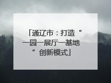 通辽市：打造“一园一展厅一基地”创新模式