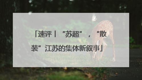 速评丨“苏超”，“散装”江苏的集体新叙事