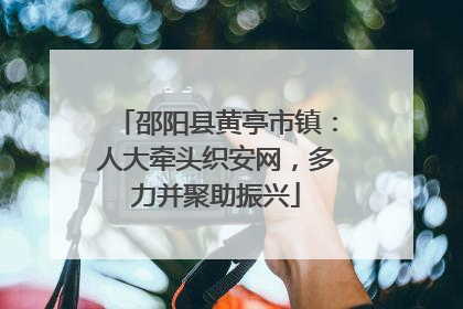 邵阳县黄亭市镇：人大牵头织安网，多力并聚助振兴