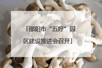 邵阳市“五好”园区建设推进会召开
