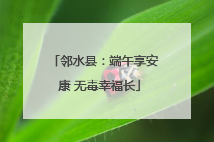 邻水县：端午享安康 无毒幸福长