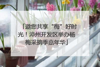 邀您共享“梅”好时光！漳州开发区举办杨梅采摘季嘉年华