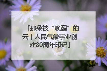 那朵被“唤醒”的云｜人民气象事业创建80周年印记