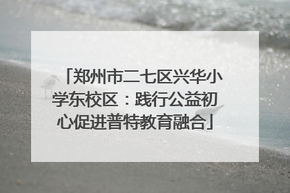 郑州市二七区兴华小学东校区：践行公益初心促进普特教育融合